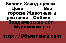 Бассет Хаунд щенки › Цена ­ 20 000 - Все города Животные и растения » Собаки   . Владимирская обл.,Муромский р-н